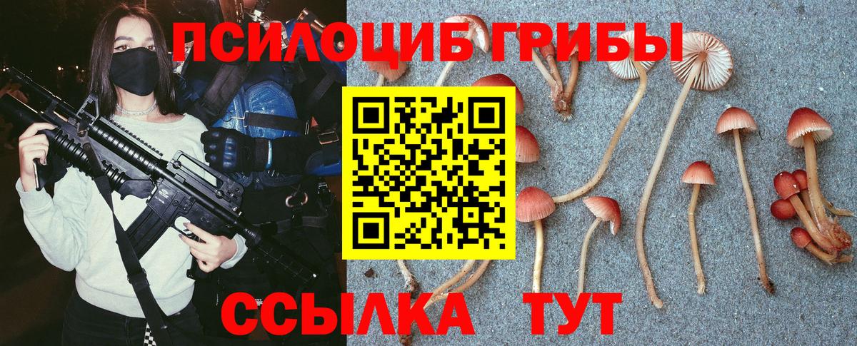 Псилоцибиновые грибы MAGIC MUSHROOMS  хочу   Учалы  Вход с VPN  Псилоцибиновые грибы Magic Shrooms 