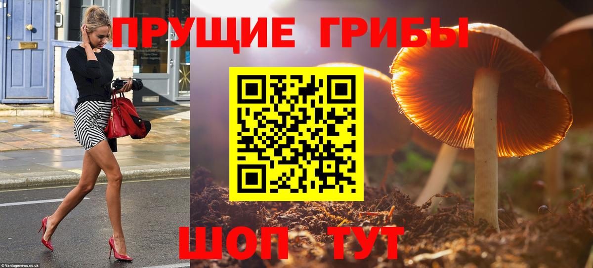 Псилоцибиновые грибы прущие грибы Учалы
